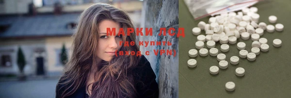 spice Алзамай